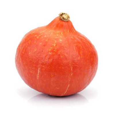Potimarron bio