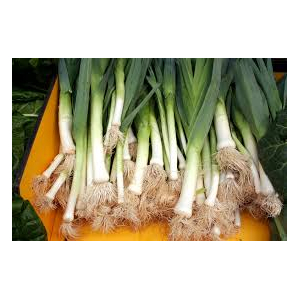 Poireaux bio