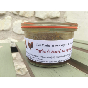 Terrine de canard aux agrumes