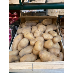 Pomme de terre bio