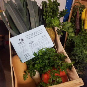 Panier garni  de légumes  bio