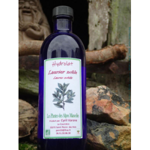 Hydrolat de laurier noble