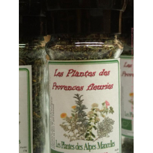 Les plantes  des provences fleuries