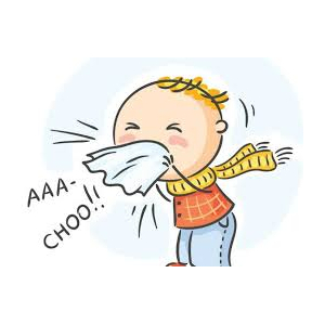 Stick inhalateur rhume + recharge