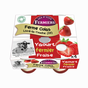 Yaourt brassé sur lit de fraise