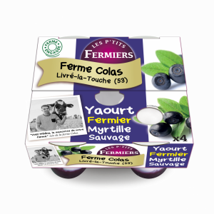 Yaourt brassé sur lit de myrtille