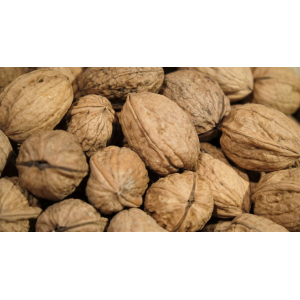 Noix sèches bio