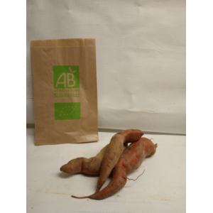 Patate douce bio