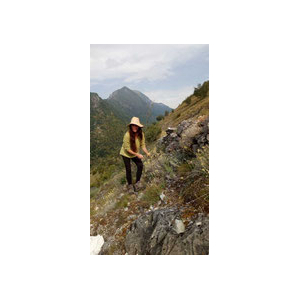 Eau florale d'hélichryse