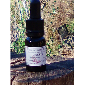 Macérat mère bourgeons cassis