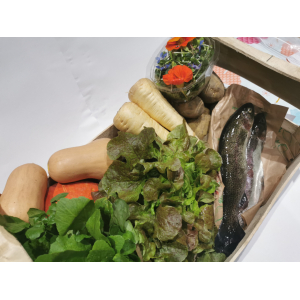 Panier de légumes  & fruits de saison