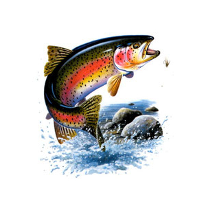 Filet truite saumonée (1) sous-vide