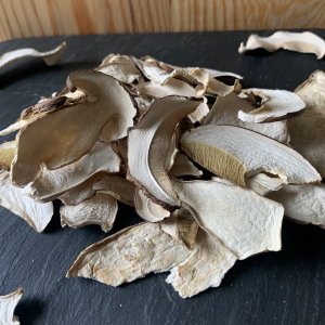 Cèpes séchés extra