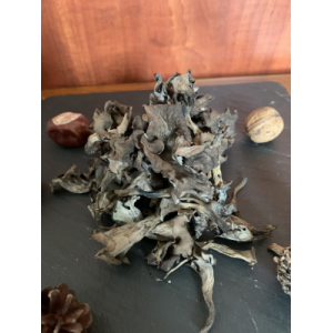 Trompettes de la mort séchées extra