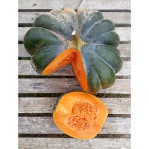 Courge musquée à la coupe