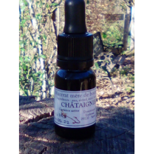 Macérat mère bourgeons châtaignier