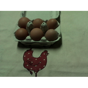 Les oeufs des poul'inoches