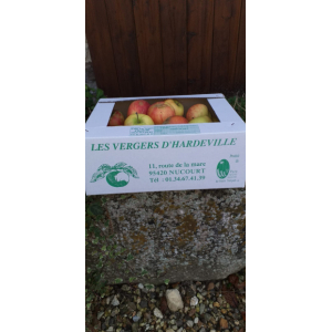 Pommes en mélange 3kg