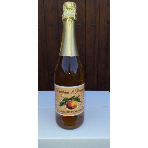 Pétillant de pomme 75 cl