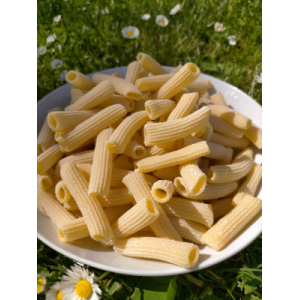 Penne - pâtes fraîches