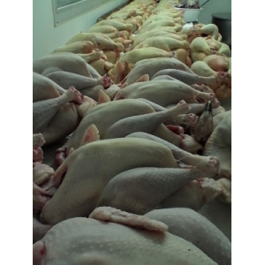 Noël/prévente poularde🎄