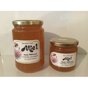 Miel toutes fleurs