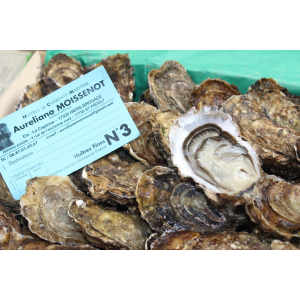 Huître fine de claire numéro 3