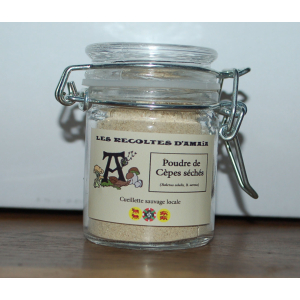 Poudre de cèpes séchés