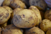 Pommes de terre allians