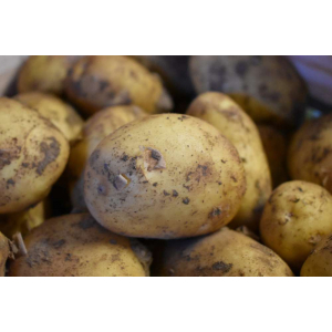 Pommes de terre allians