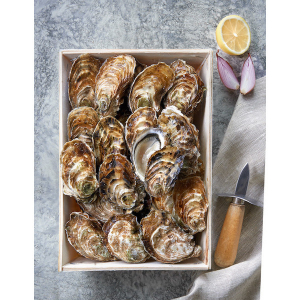 Huitres normande utah b par 2 douz