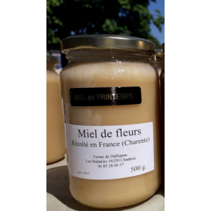 Miel de fleurs de printemps