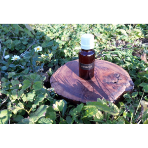 Propolis