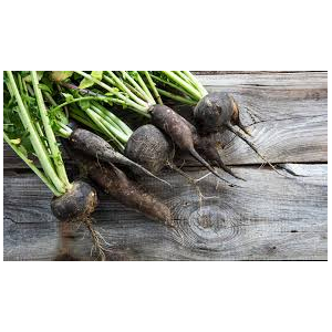 Radis noir bio 500gr