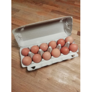 Oeufs bio x12 ''extra frais''