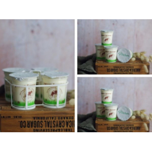 4 yaourts pomme kiwi