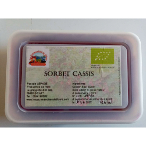 Sorbet cassis plein fruit bio