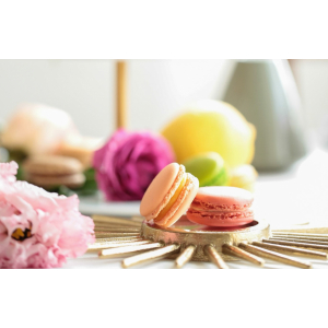 Pack découverte x16