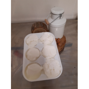 Faisselle mi chevre x6