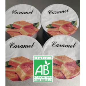 Yaourt caramel x4