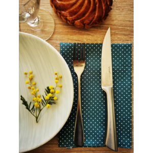 Lot de 4 serviettes de table (coton oeko-tex)