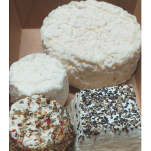 Petite box assortiment fromages de chèvre bio