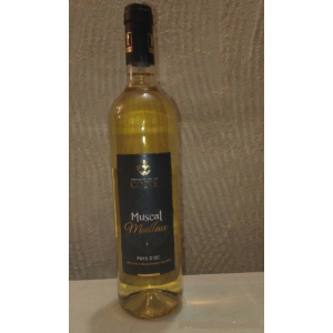 Vin blanc muscat moelleux igp oc