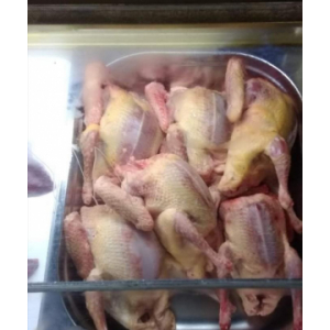 Pigeonneau avec abats