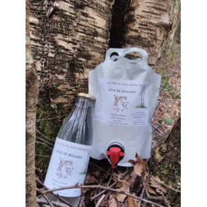 Sève de bouleau en bouteille