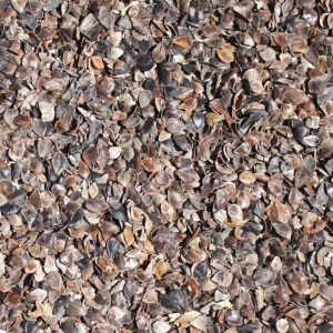 Paillis aux cosses de sarrasin