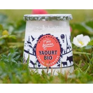 Yaourt bio & fermier sur lit de fraise-rhubar