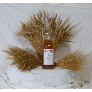 Jus de pomme bio