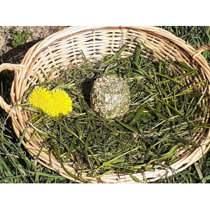 Fromage frais saveur du jardin