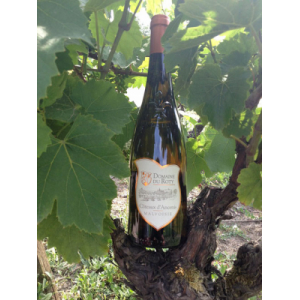 Coteaux d'ancenis malvoisie